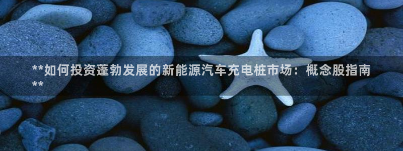 威廉娱乐2023官方版fxzls安卓-1.2.5 -安卓：**如何投资蓬勃发展的新能源汽车充电桩市场：概念股指南
**