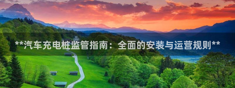 威廉希尔1.36数据：**汽车充电桩监管指南：全面的安装与运营规则**