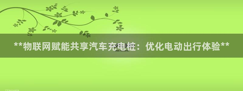 威廉希尔标准框架：**物联网赋能共享汽车充电桩：优化电动出行体验**