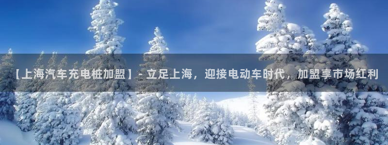 威廉希尔1.33什么意思：【上海汽车充电桩加盟】- 立足上海，迎接电动车时代，加盟享市场红利