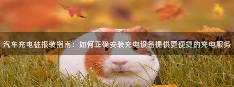 威廉国际平台介绍：汽车充电桩报装指南：如何正确安装充电设备提供更便捷的充电服务