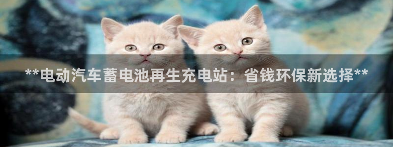 哪里买威廉希尔：**电动汽车蓄电池再生充电站：省钱环保新选择**