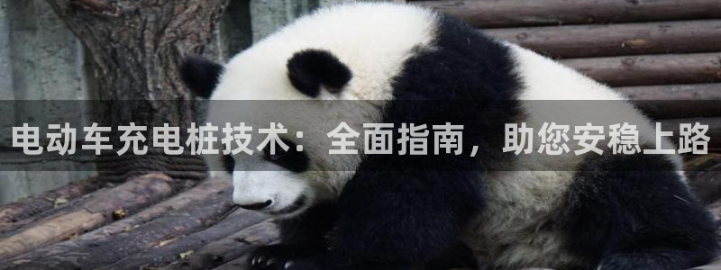 谁知道正规的威廉希尔公司：电动车充电桩技术：全面指南，助您安稳上路
