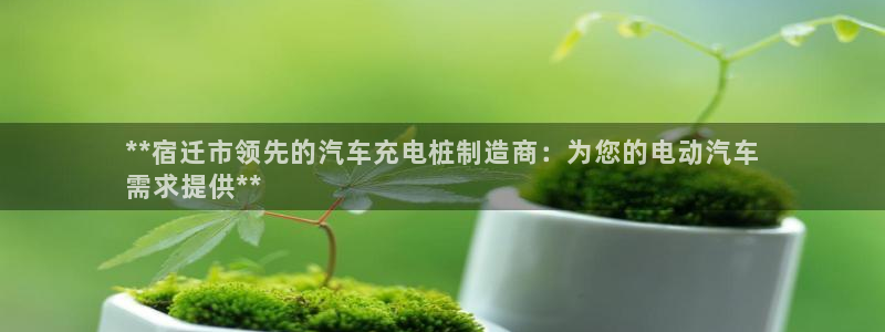 搜索威廉游戏主页：**宿迁市领先的汽车充