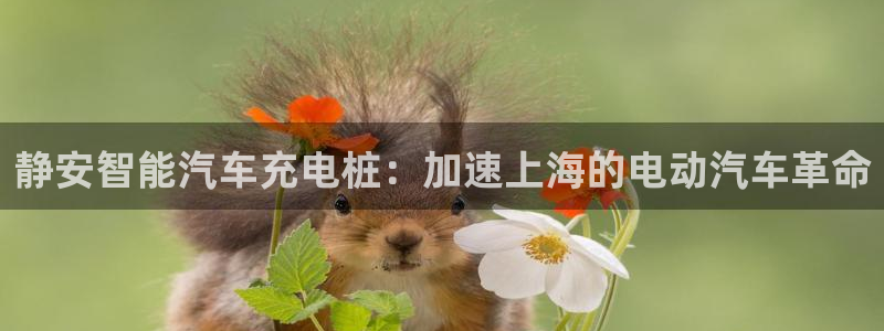 威廉希尔凯利指数特点：静安智能汽车充电桩：加速上海的电动汽车革命