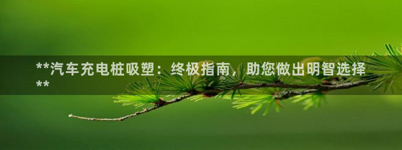 威廉和澳门：**汽车充电桩吸塑：终极指南，助您做出明智选择
**