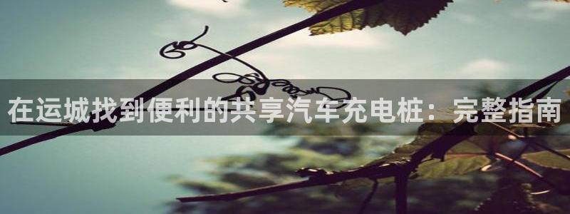 威廉指数是什么：在运城找到便利的共享汽车充电桩：完整指南