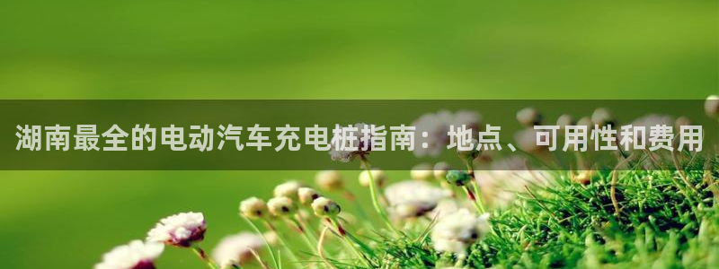威廉士官方网站：湖南最全的电动汽车充电桩