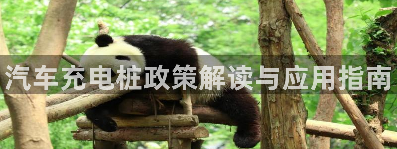 威廉国际app下载：汽车充电桩政策解读与