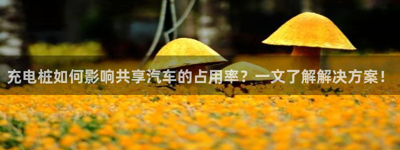 威廉客户端app下载安卓：充电桩如何影响共享汽车的占用率？一文了解解决方案！