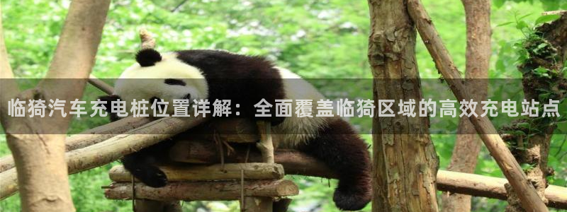 威廉希尔足球分析师：临猗汽车充电桩位置详解：全面覆盖临猗区域的高效充电站点