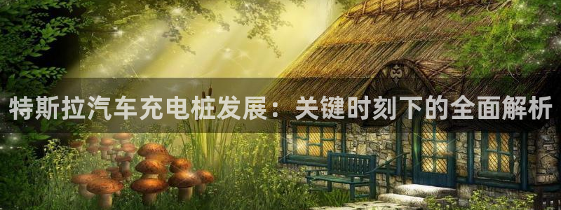 威廉希尔欧冠初盘的分析的胜负关系：特斯拉汽车充电桩发展：关键时刻下的全面解析
