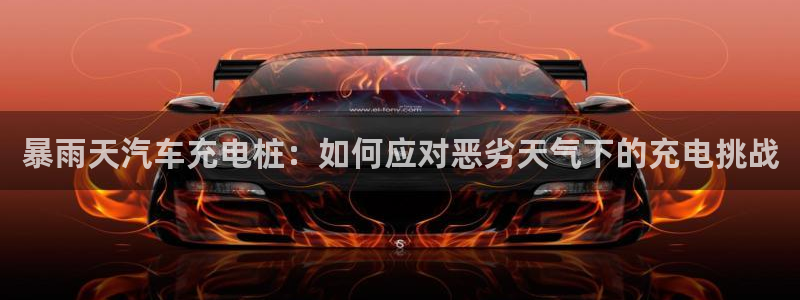 威廉与立博分析技巧：暴雨天汽车充电桩：如