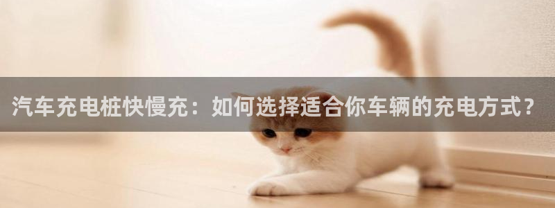 威廉希尔操盘手：汽车充电桩快慢充：如何选