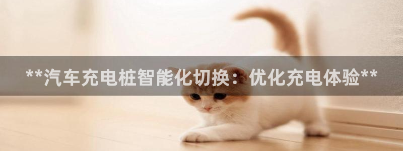威廉希尔对比立博：**汽车充电桩智能化切