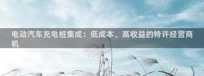 威廉希尔简称：电动汽车充电桩集成：低成本