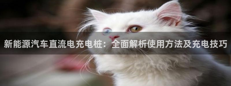 威廉指数怎么使用：新能源汽车直流电充电桩