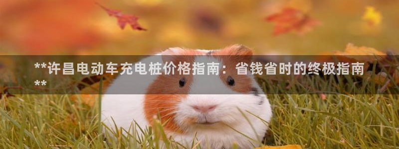 威廉希尔提现：**许昌电动车充电桩价格指南：省钱省时的终极指南
**
