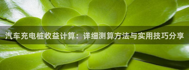 威廉希尔不开盘的比赛叫什么：汽车充电桩收