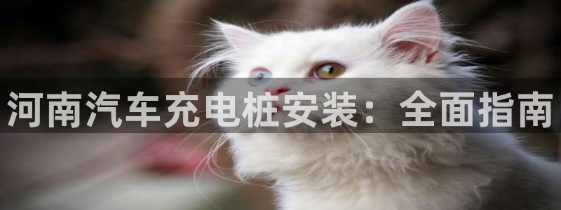 威廉希尔大小球初盘和即时盘：河南汽车充电桩安装：全面指南