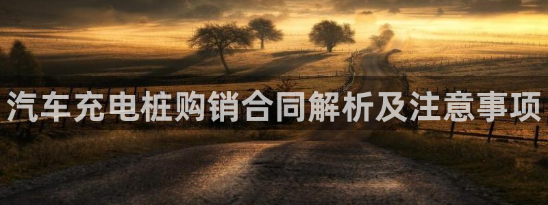 威廉希尔账号有人要吗：汽车充电桩购销合同